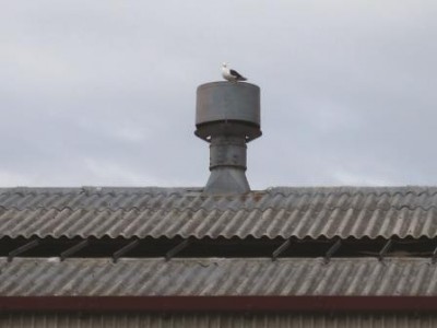 Corrugated asbestos